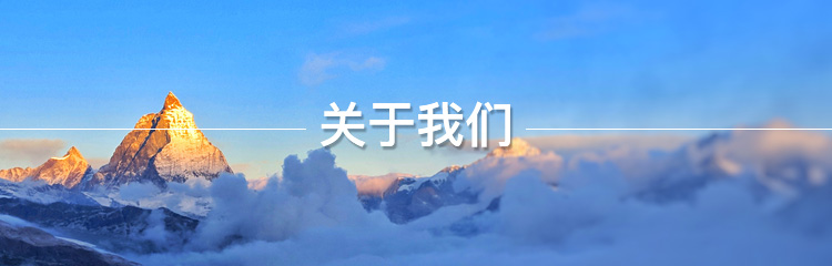 公司简介